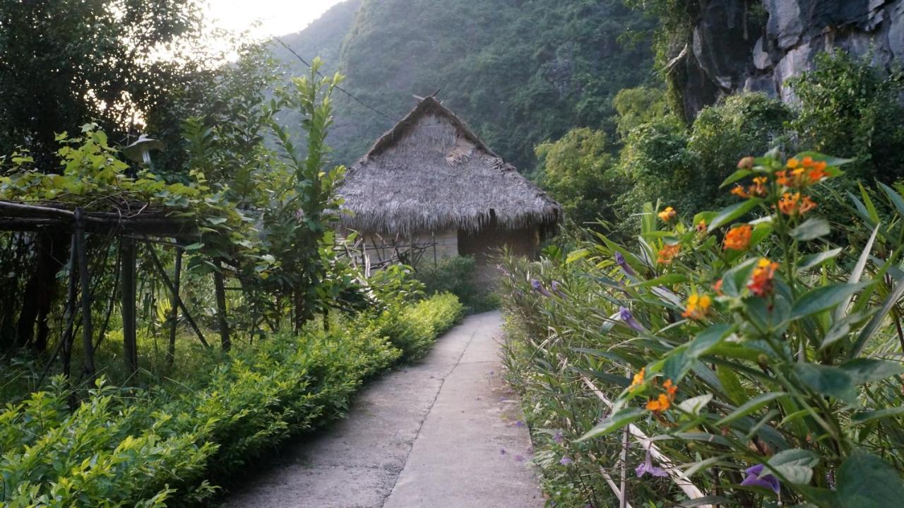 Ninh Binh Valley Homestay Екстер'єр фото